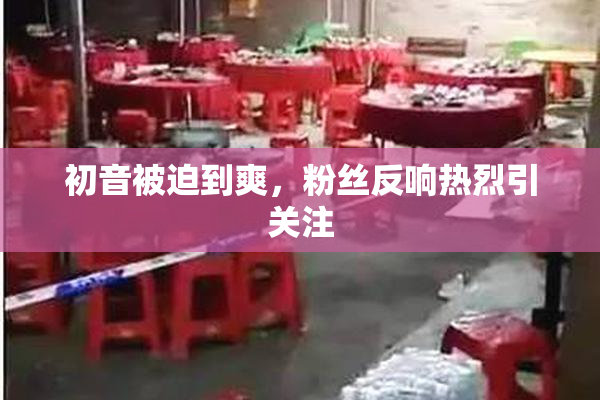 初音被迫到爽，粉丝反响热烈引关注