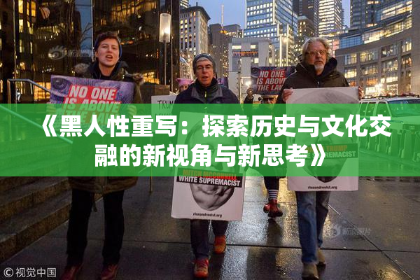 《黑人性重写：探索历史与文化交融的新视角与新思考》