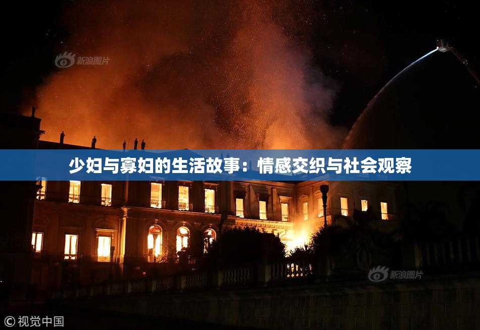 少妇与寡妇的生活故事：情感交织与社会观察