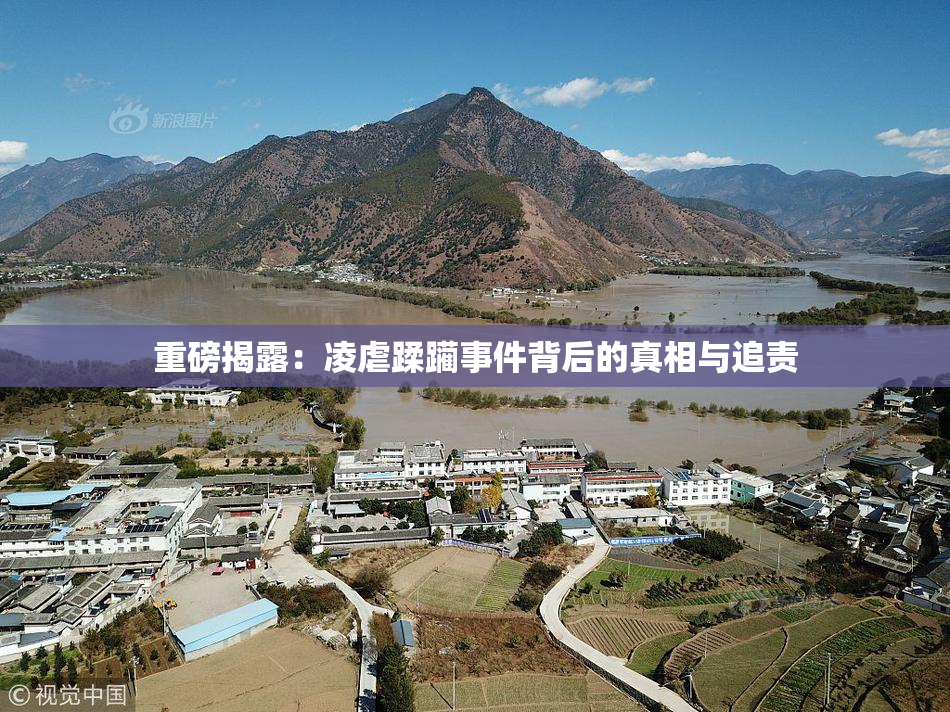重磅揭露：凌虐蹂躏事件背后的真相与追责