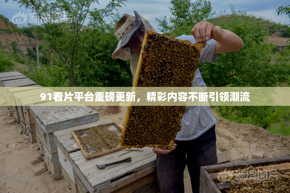 91看片平台重磅更新，精彩内容不断引领潮流