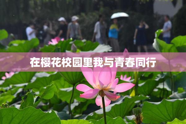 在樱花校园里我与青春同行
