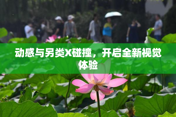 动感与另类X碰撞，开启全新视觉体验