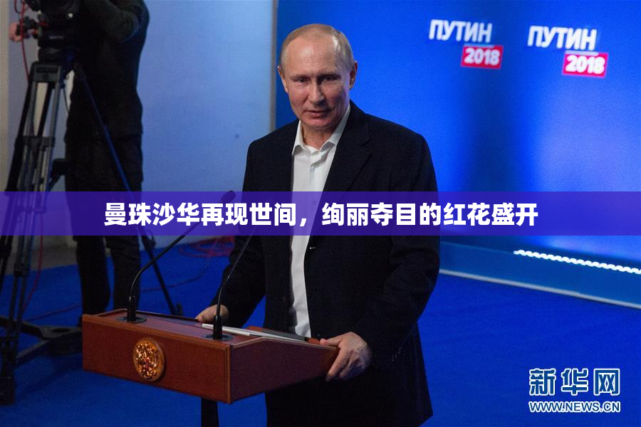 曼珠沙华再现世间，绚丽夺目的红花盛开