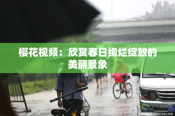 樱花视频：欣赏春日绚烂绽放的美丽景象