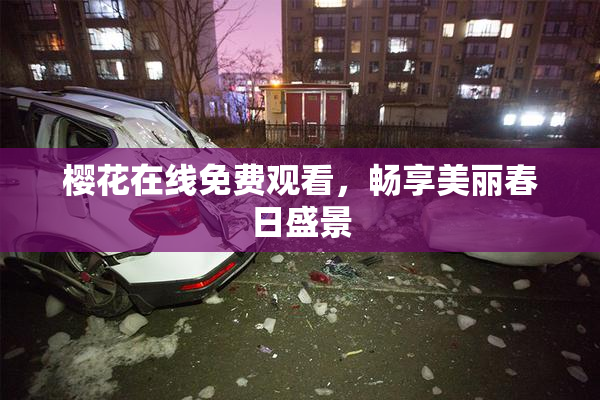 樱花在线免费观看，畅享美丽春日盛景