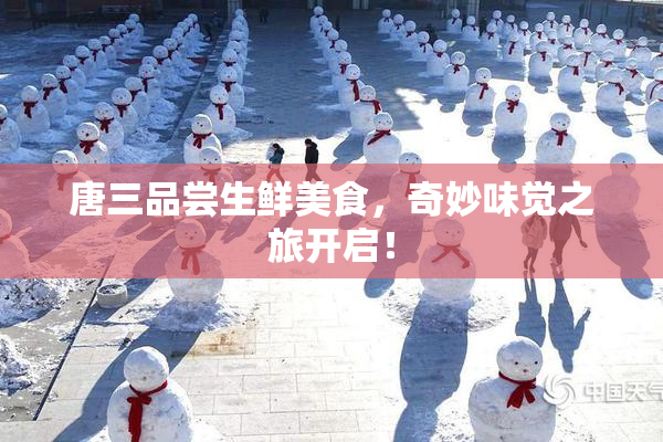 唐三品尝生鲜美食，奇妙味觉之旅开启！
