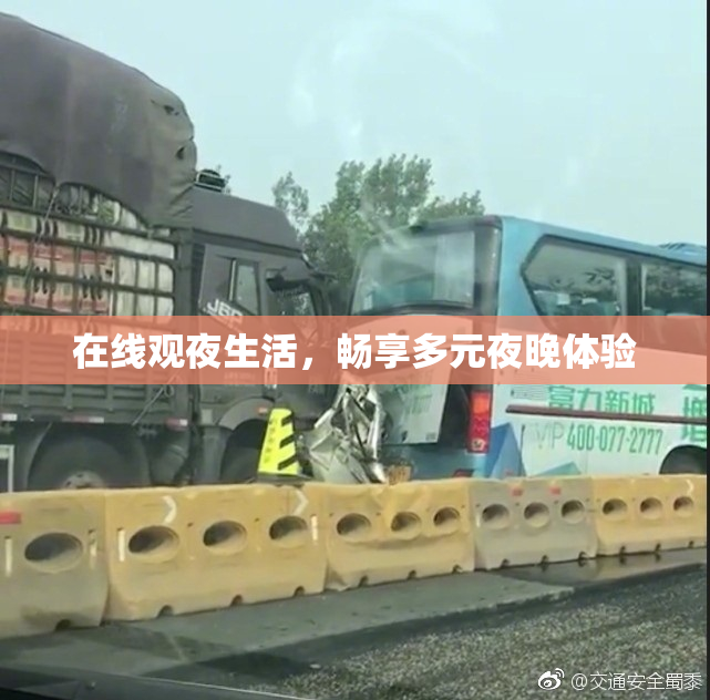 在线观夜生活，畅享多元夜晚体验