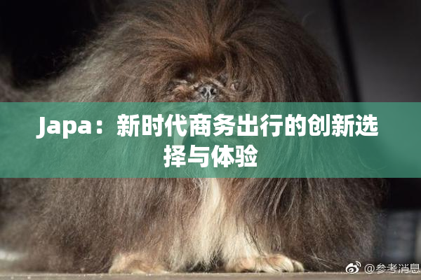 Japa：新时代商务出行的创新选择与体验
