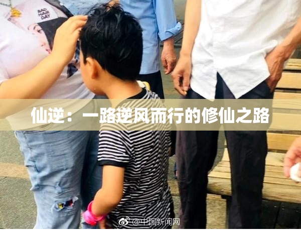 仙逆：一路逆风而行的修仙之路
