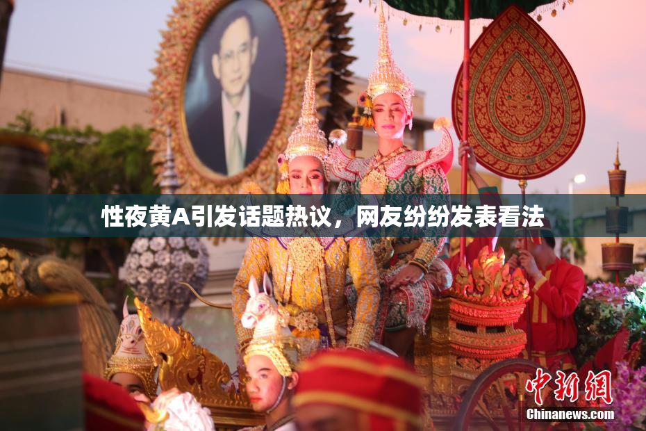 性夜黄A引发话题热议，网友纷纷发表看法