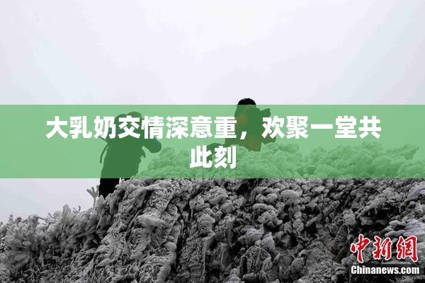 大乳奶交情深意重，欢聚一堂共此刻