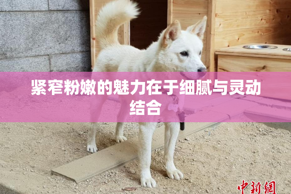 紧窄粉嫩的魅力在于细腻与灵动结合