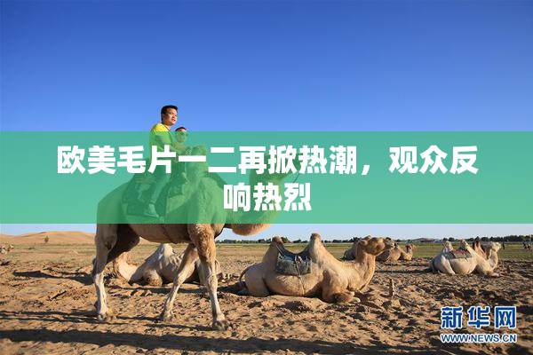欧美毛片一二再掀热潮，观众反响热烈