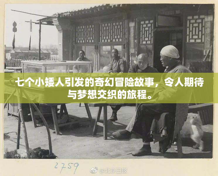 七个小矮人引发的奇幻冒险故事，令人期待与梦想交织的旅程。