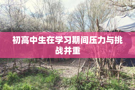 初高中生在学习期间压力与挑战并重