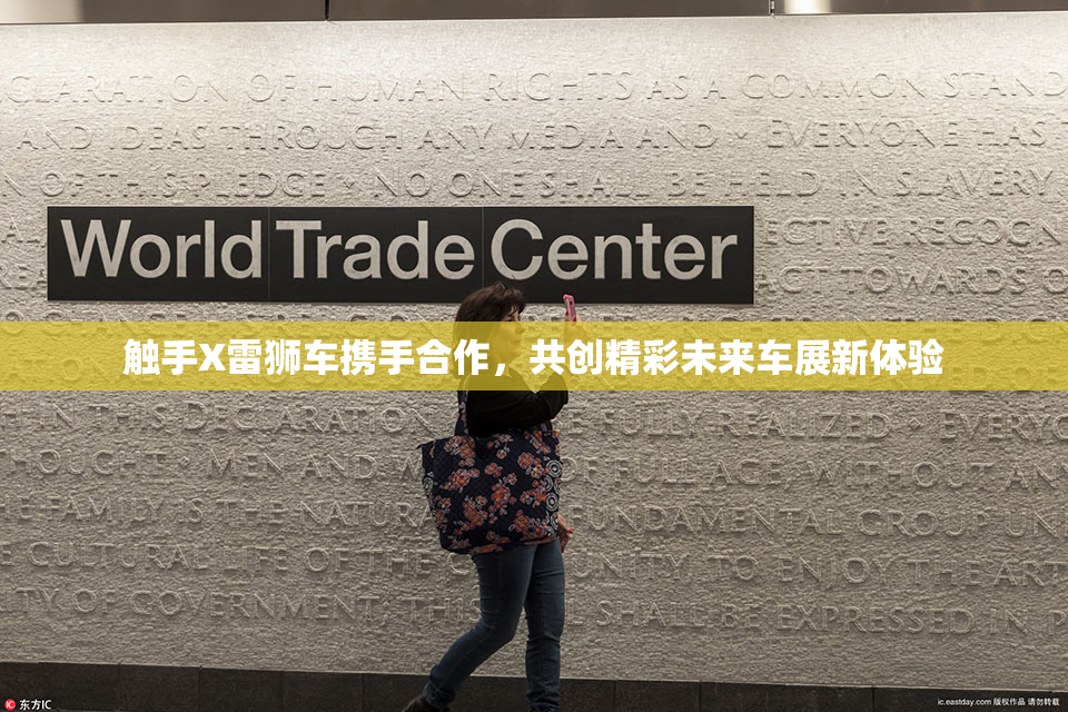 触手X雷狮车携手合作，共创精彩未来车展新体验
