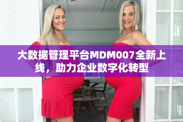 大数据管理平台MDM007全新上线，助力企业数字化转型