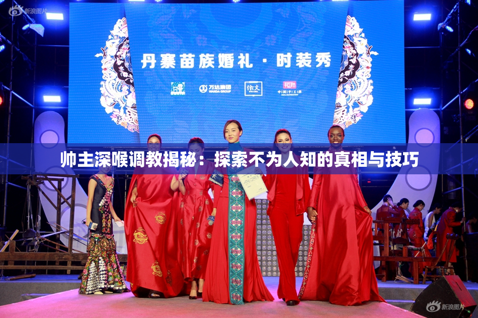 帅主深喉调教揭秘：探索不为人知的真相与技巧