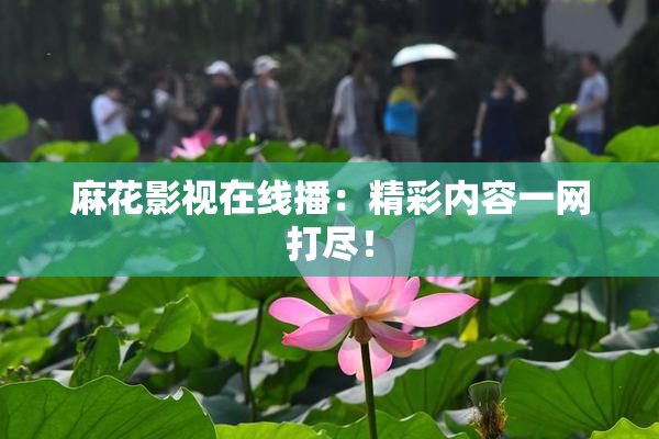 麻花影视在线播：精彩内容一网打尽！