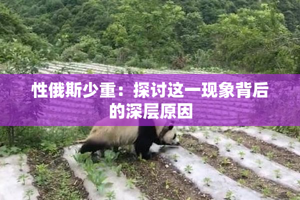 性俄斯少重：探讨这一现象背后的深层原因