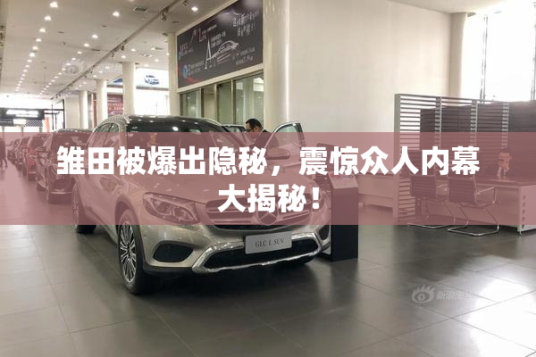 雏田被爆出隐秘，震惊众人内幕大揭秘！