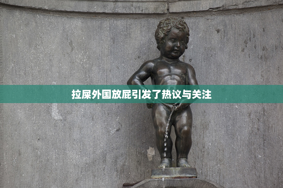 拉屎外国放屁引发了热议与关注