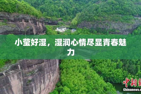 小莹好湿，湿润心情尽显青春魅力