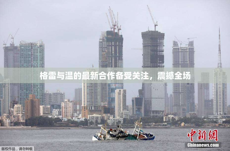 格雷与温的最新合作备受关注，震撼全场