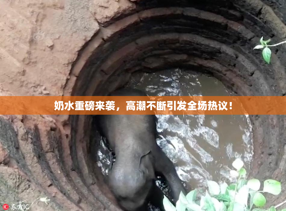 奶水重磅来袭，高潮不断引发全场热议！