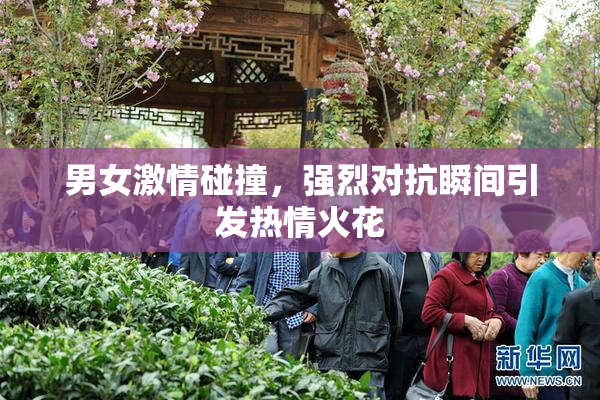 男女激情碰撞，强烈对抗瞬间引发热情火花