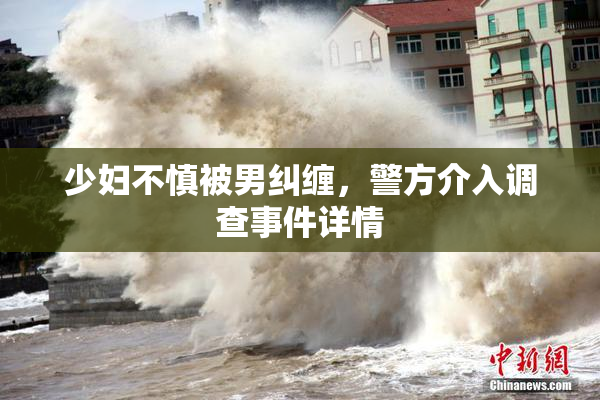 少妇不慎被男纠缠，警方介入调查事件详情