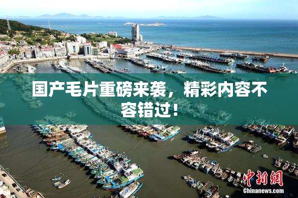 国产毛片重磅来袭，精彩内容不容错过！