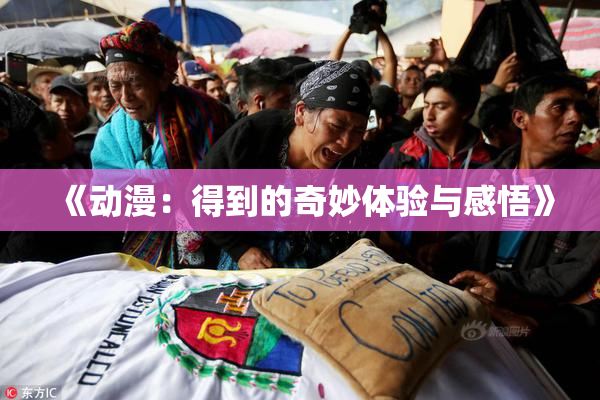 《动漫：得到的奇妙体验与感悟》