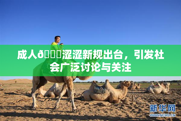 成人🔞涩涩新规出台，引发社会广泛讨论与关注