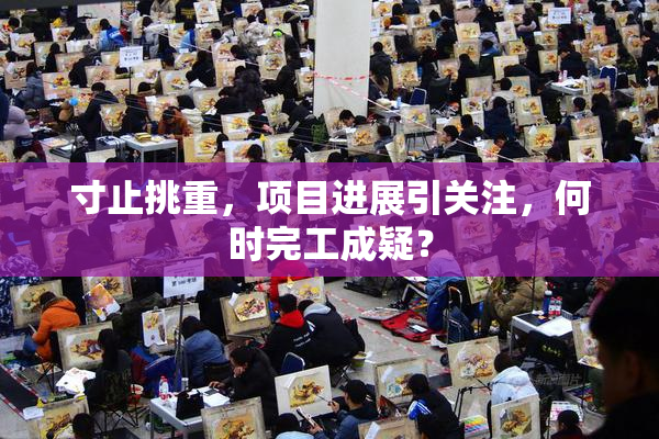 寸止挑重，项目进展引关注，何时完工成疑？