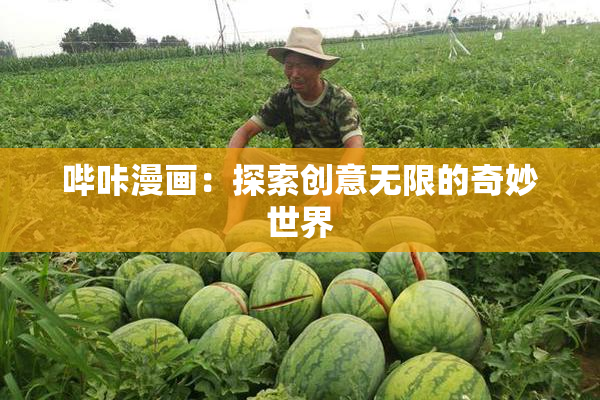 哔咔漫画：探索创意无限的奇妙世界