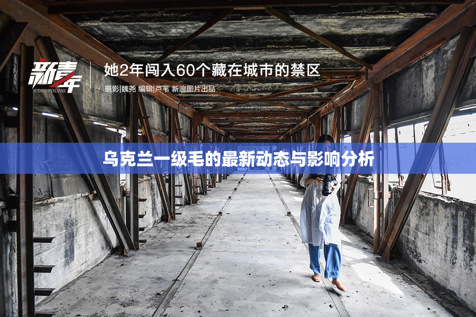 乌克兰一级毛的最新动态与影响分析