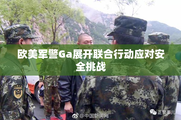 欧美军警Ga展开联合行动应对安全挑战