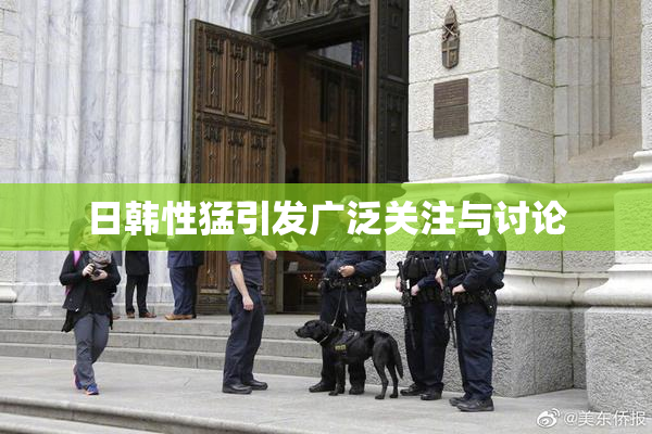 日韩性猛引发广泛关注与讨论
