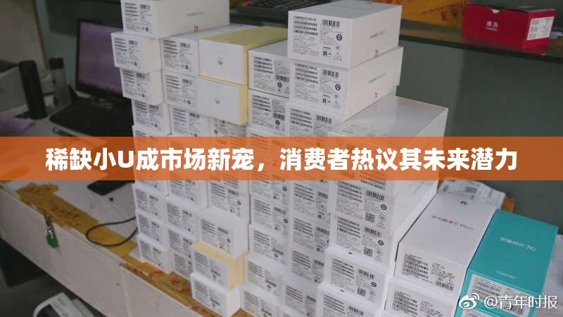 稀缺小U成市场新宠，消费者热议其未来潜力