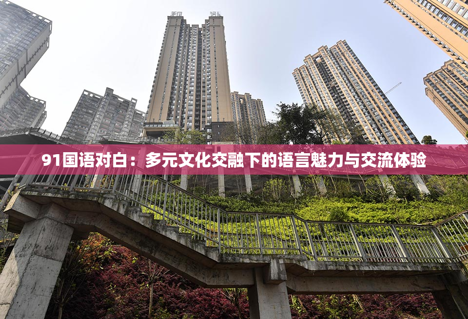 91国语对白：多元文化交融下的语言魅力与交流体验
