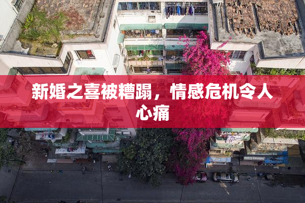 新婚之喜被糟蹋，情感危机令人心痛