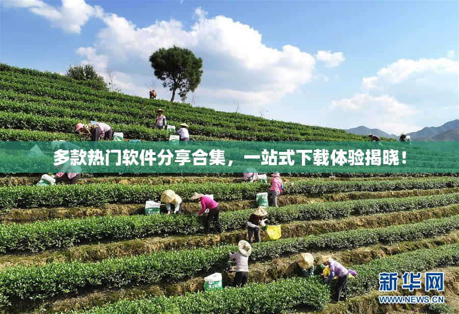 多款热门软件分享合集，一站式下载体验揭晓！