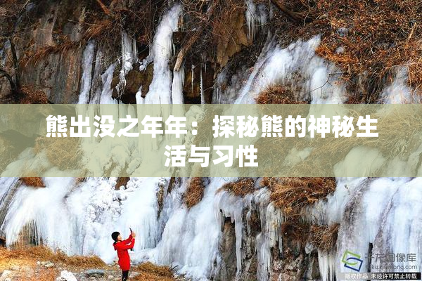 熊出没之年年：探秘熊的神秘生活与习性