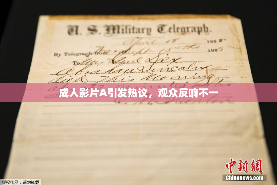 成人影片A引发热议，观众反响不一