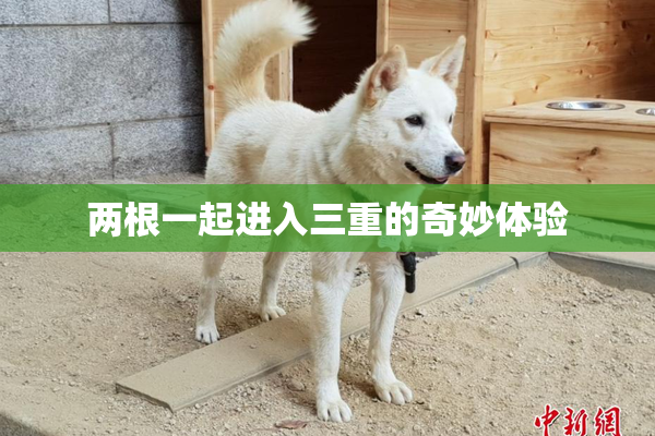 两根一起进入三重的奇妙体验
