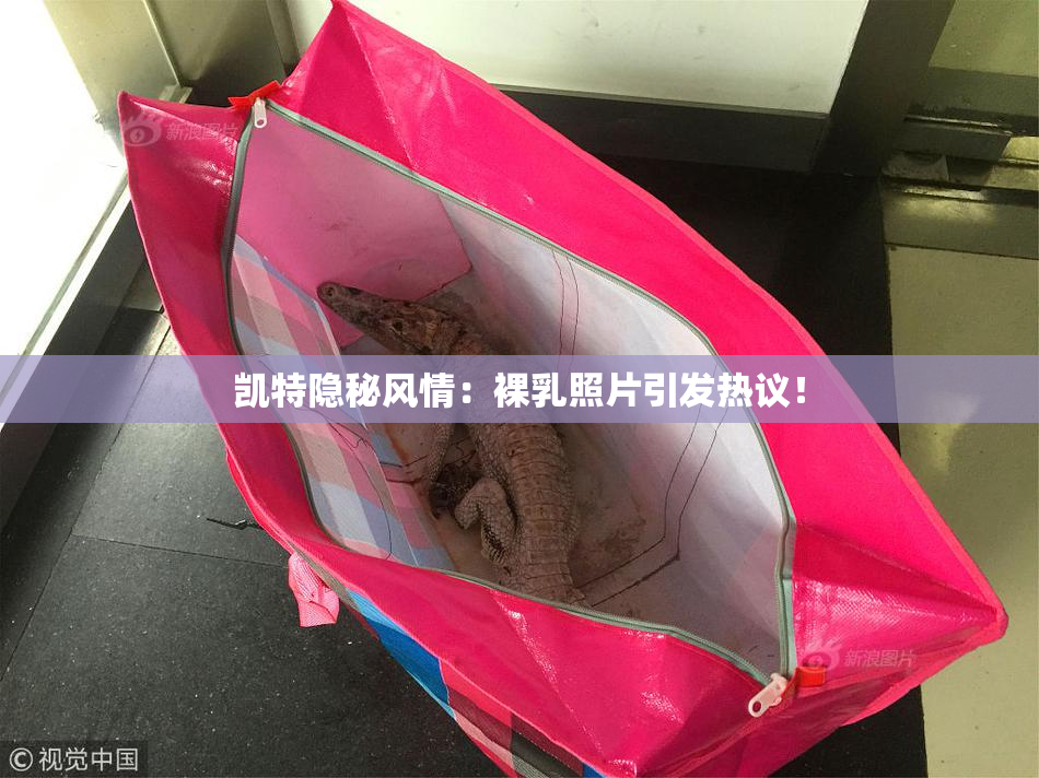 凯特隐秘风情：裸乳照片引发热议！