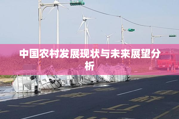 中国农村发展现状与未来展望分析
