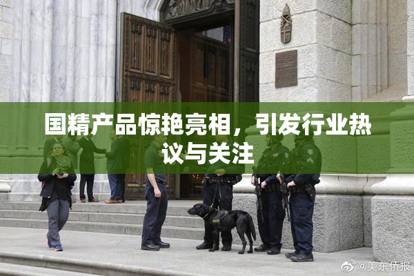 国精产品惊艳亮相，引发行业热议与关注